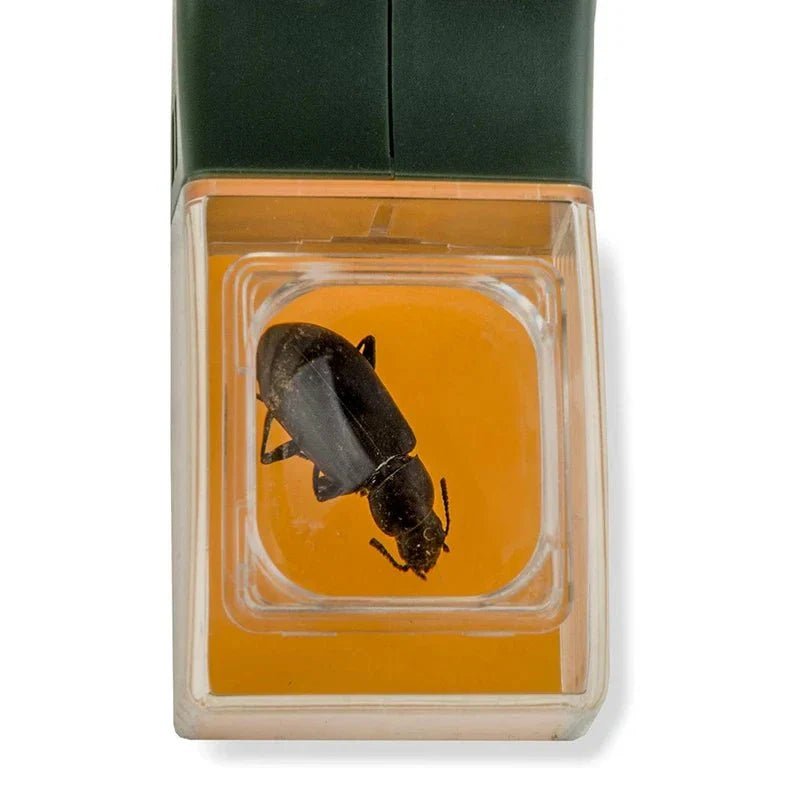 Angeer Insect Insectenvanger Met Vergrootglas - Spinnenvanger – KidsKorner